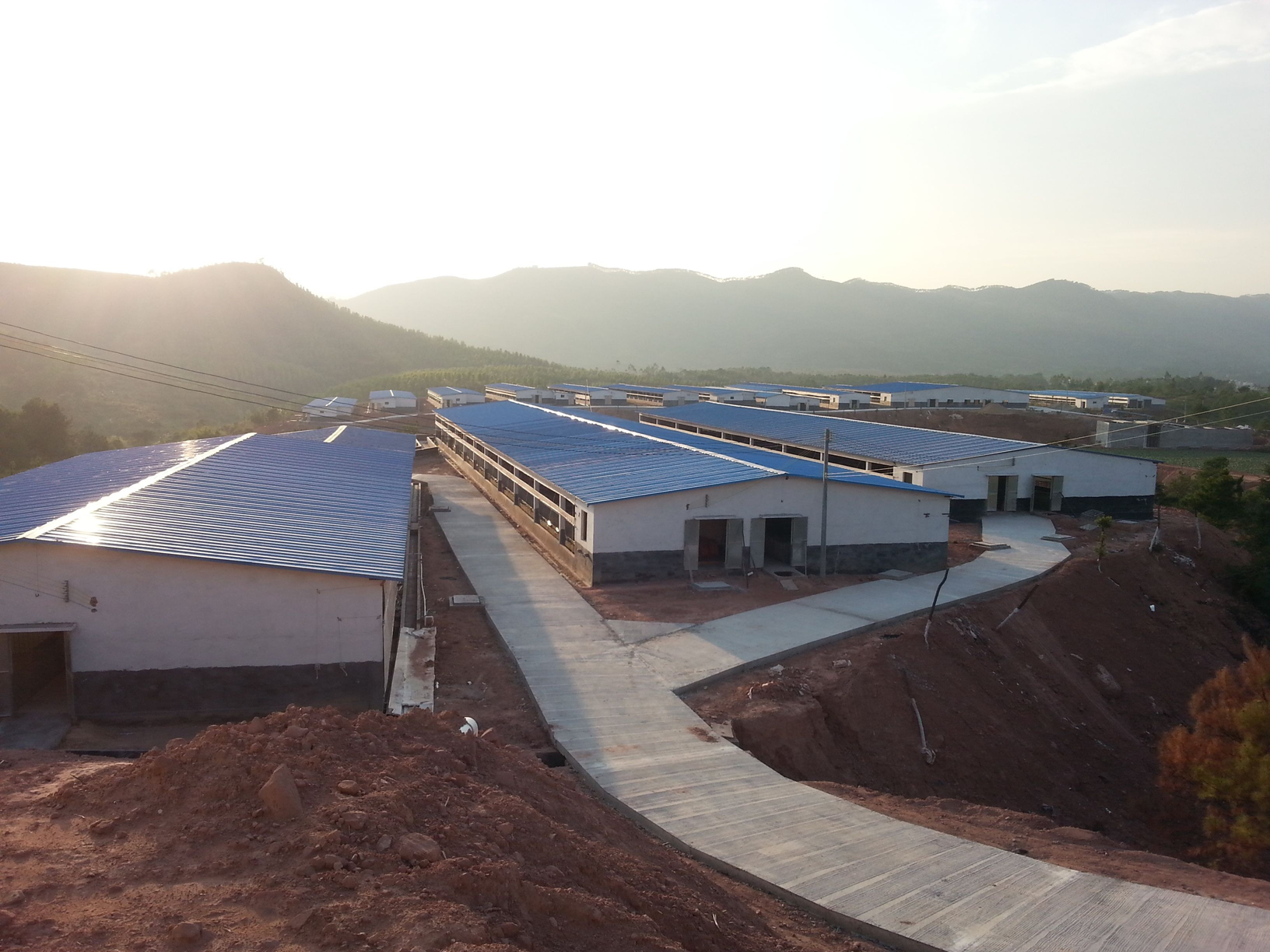 现代化绿色生态养猪场