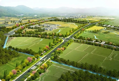 碧湖镇绿色农田建设项目